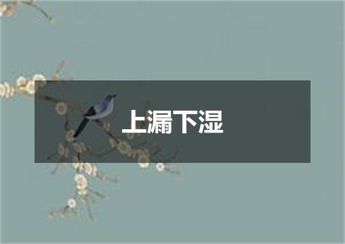 上漏下湿