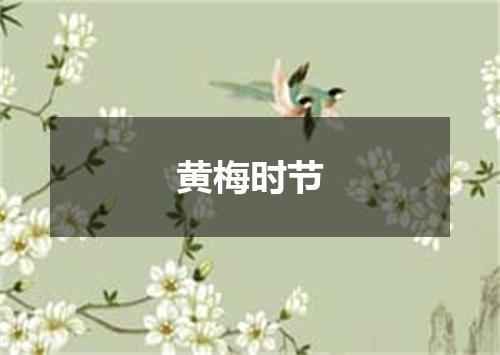 黄梅时节