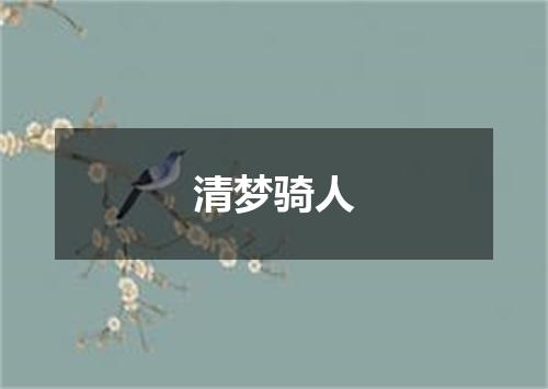 清梦骑人