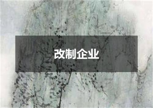 改制企业