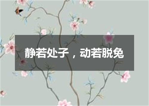 静若处子，动若脱兔