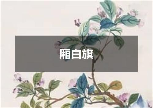 厢白旗