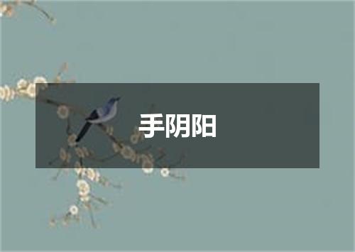 手阴阳