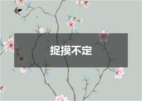 捉摸不定