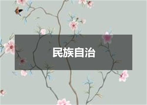 民族自治