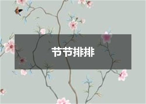 节节排排