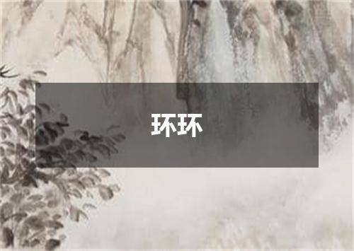 环环