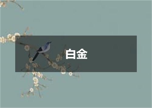 白金