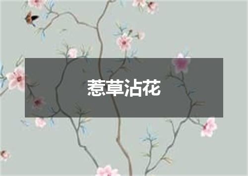 惹草沾花