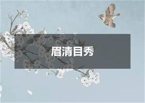 眉清目秀