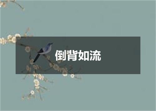 倒背如流