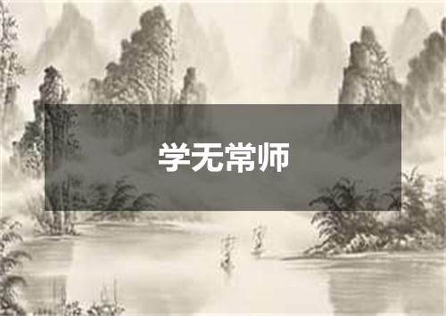 学无常师