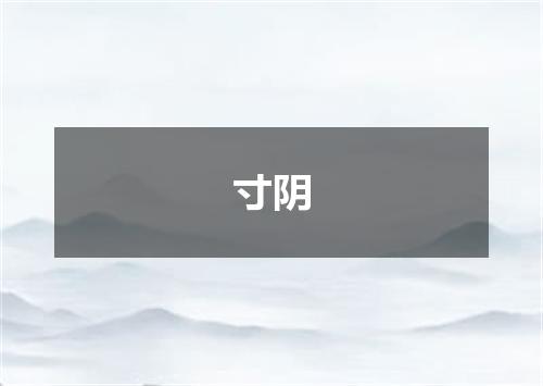 寸阴