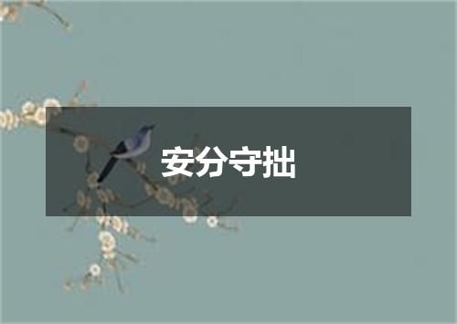 安分守拙