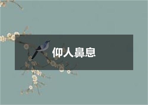 仰人鼻息