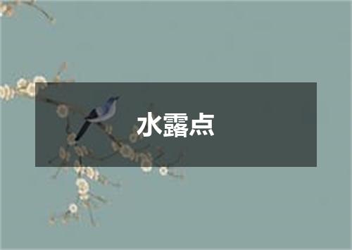 水露点