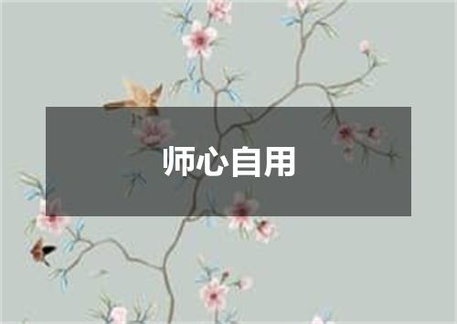 师心自用