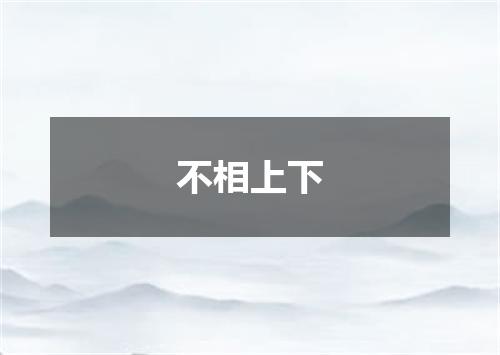 不相上下