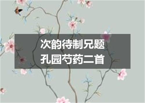 次韵待制兄题孔园芍药二首