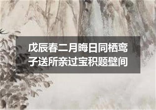 戊辰春二月晦日同栖鸾子送所亲过宝积题壁间