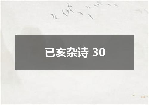 已亥杂诗 30