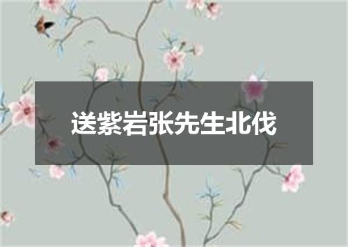 送紫岩张先生北伐