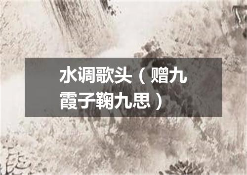 水调歌头（赠九霞子鞠九思）