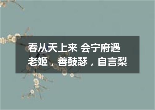 春从天上来 会宁府遇老姬，善鼓瑟，自言梨