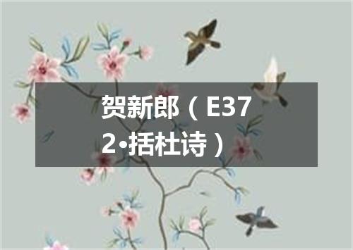 贺新郎（E372·括杜诗）