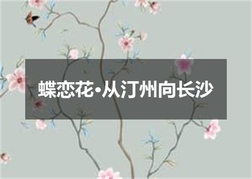 蝶恋花·从汀州向长沙