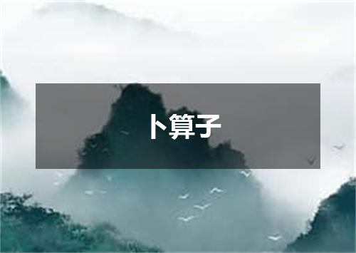 卜算子