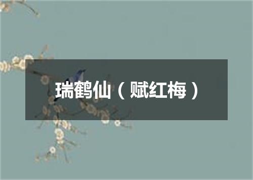 瑞鹤仙（赋红梅）