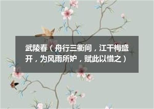 武陵春（舟行三衢间，江干梅盛开，为风雨所妒，赋此以惜之）