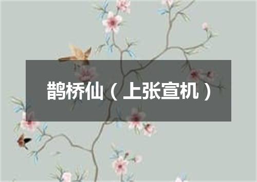 鹊桥仙（上张宣机）