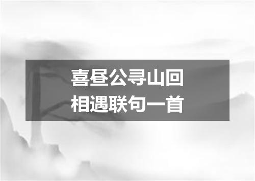 喜昼公寻山回相遇联句一首