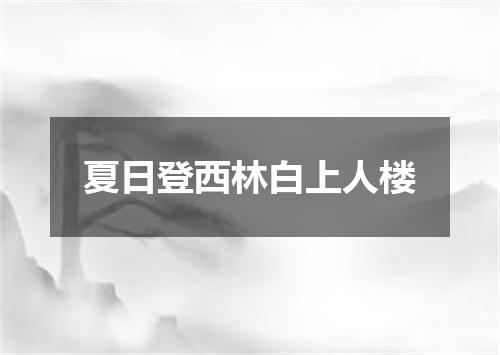 夏日登西林白上人楼