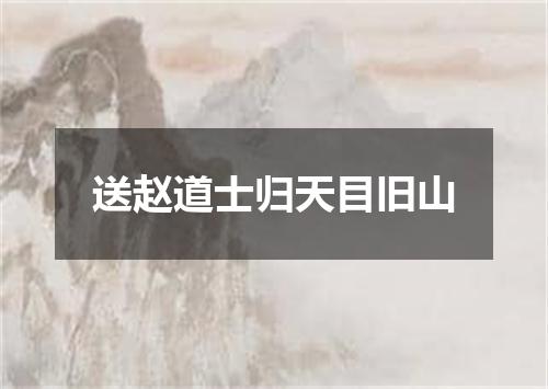 送赵道士归天目旧山