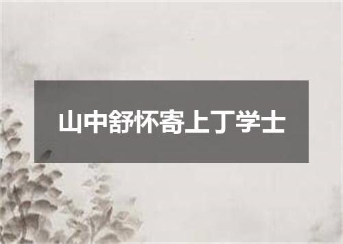 山中舒怀寄上丁学士