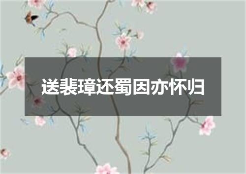 送裴璋还蜀因亦怀归