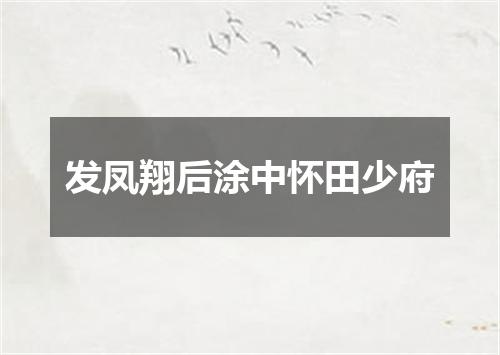 发凤翔后涂中怀田少府