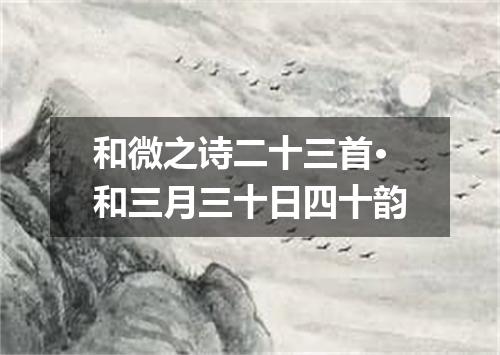 和微之诗二十三首·和三月三十日四十韵