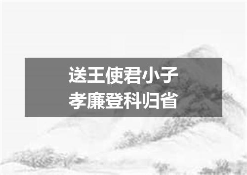 送王使君小子孝廉登科归省