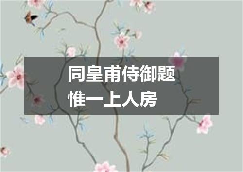 同皇甫侍御题惟一上人房