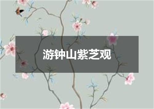 游钟山紫芝观