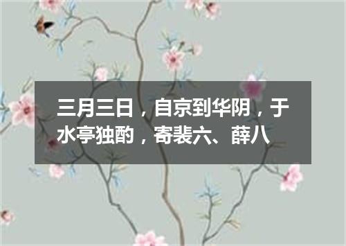 三月三日，自京到华阴，于水亭独酌，寄裴六、薛八