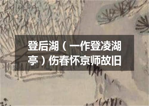 登后湖（一作登凌湖亭）伤春怀京师故旧