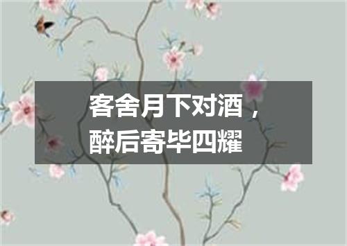 客舍月下对酒，醉后寄毕四耀