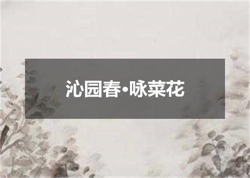 沁园春·咏菜花