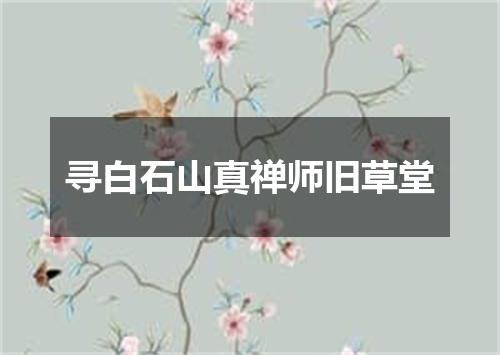 寻白石山真禅师旧草堂