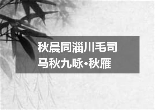 秋晨同淄川毛司马秋九咏·秋雁